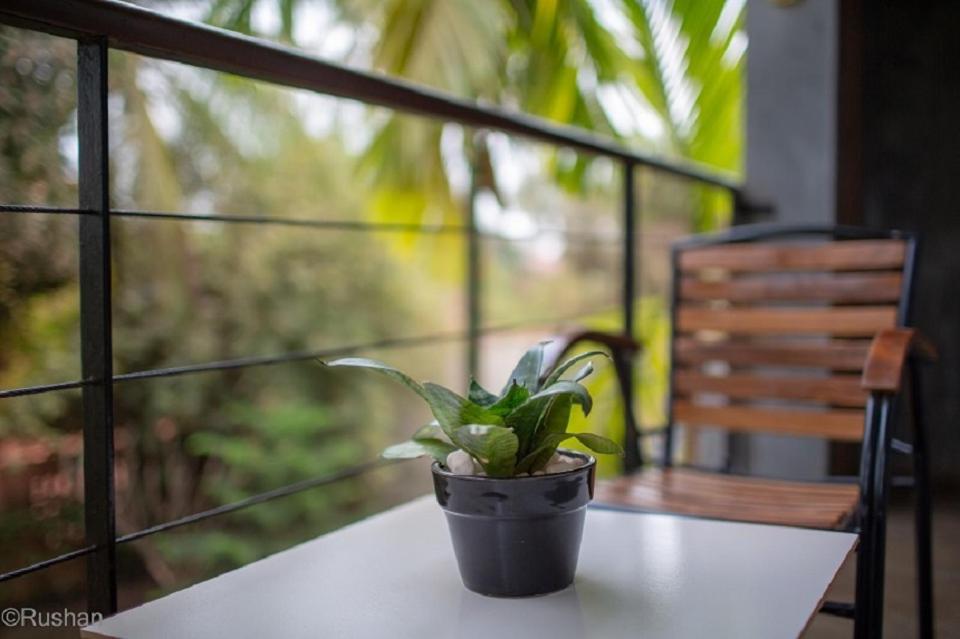 Apsara Greenland Boutique Hotel Siem Reap Eksteriør bilde